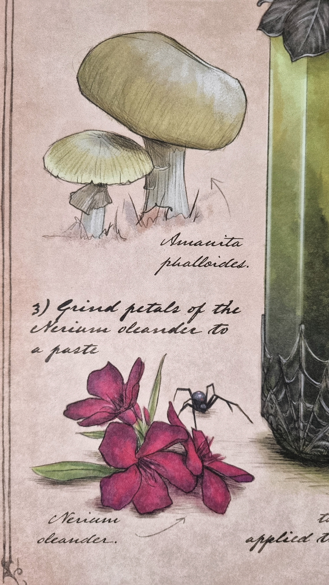 Vial of Poison Illustration A3